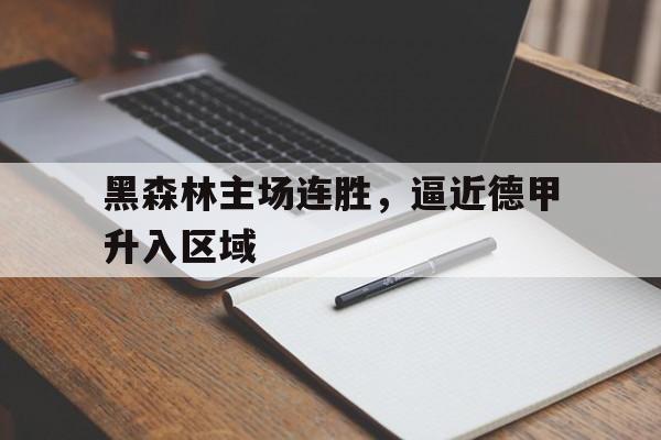 关于黑森林主场连胜，逼近德甲升入区域的信息